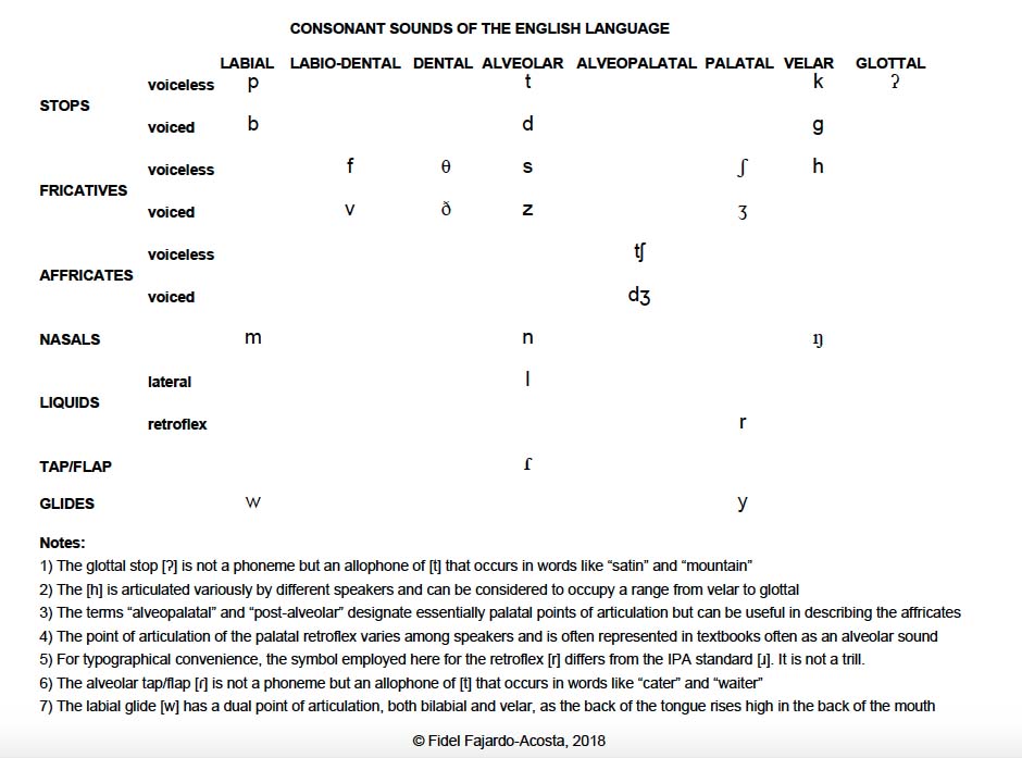 English consonant phonemes